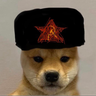 baply