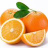 OllieMate285