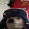 dogey77