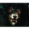danywolf73