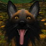 TheDirtFox