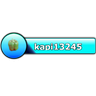 kapi13245