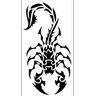 thescorpionkil