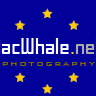 macwhale