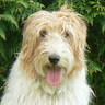 TheMarcel