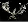 DragonRydham