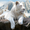 Lion_of_Shadow