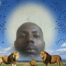 ddripke