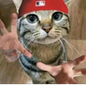 c0ol