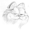 dexter_ns88