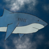 SpeedsharkPL