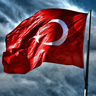 mustafa23100