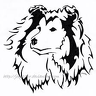 Collie