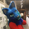 jellydahusky