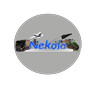 Nekolo