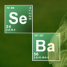 Seba983