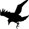 NighterRO