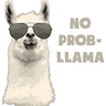 ctnllama