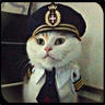Squirrel_Ltd