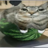 beandevv