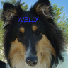 Welly