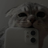Fontast
