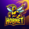Hornet_Gaming