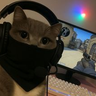 TomCGaming
