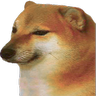 pavook