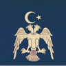 taceddindemir61