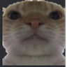 XVex_xy