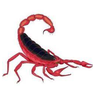EKORKMAZ26