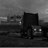 wolf_608