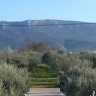 ANDREASASWPOS