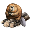 ForestBeaver