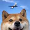 liuzzj
