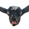 ramcamper