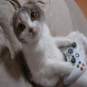 Aldo_73