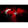 kaskaoglu53