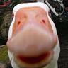 Juan_2002
