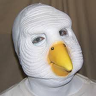 wpgn