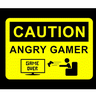 theangrygamer