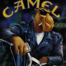 cameljoe
