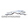 Greyhound_Trans