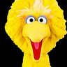 bigbird76
