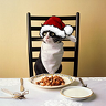 DinnerTable
