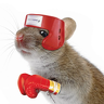StrongMouse