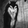 ShadowGhost89