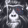 xDopeMonkey