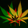 WeednizZ